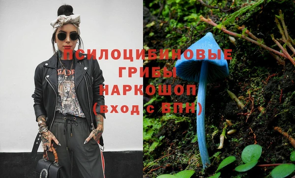 apvp Балабаново